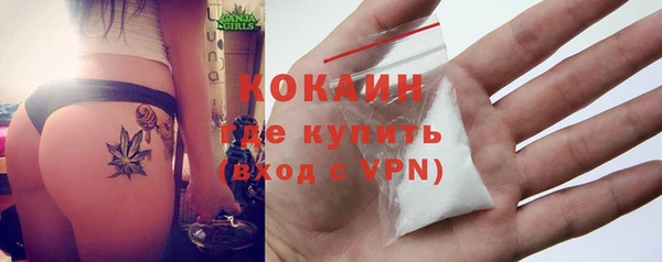 твердый Михайловск