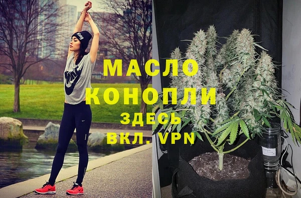 твердый Михайловск