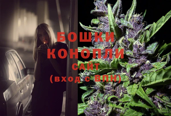 твердый Михайловск